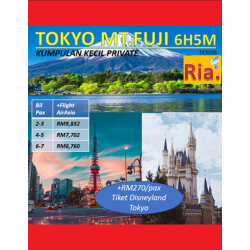 Private Tokyo Mt Fuji 6H5M