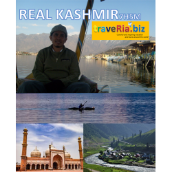 7H5M REAL KASHMIR